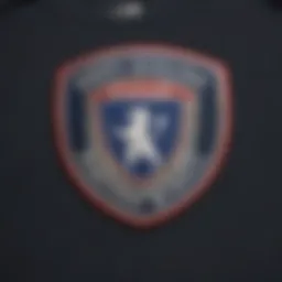 Sleek AFC Richmond T-Shirt design with iconic logo