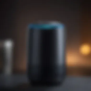 Sleek Echo Model with Advanced Voice Recognition