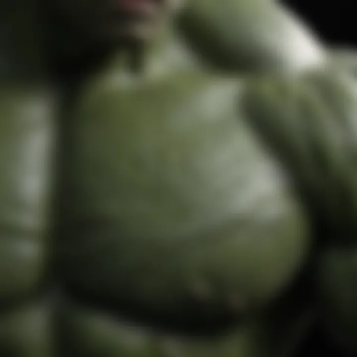 Close-up of Hulk costume material and texture