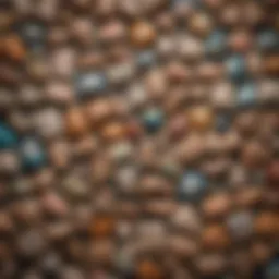 A variety of barf bags displayed in an organized manner