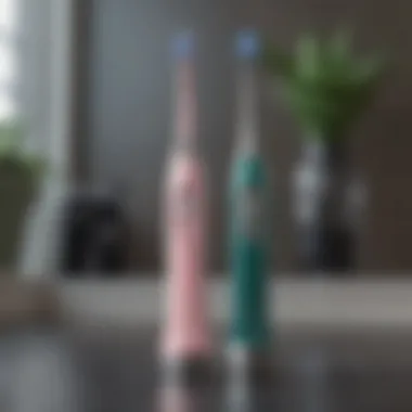 Eco-Friendly Option for Budget-Conscious Consumers Eco-Friendly Electric Toothbrush