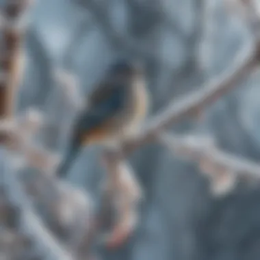 Birds perched on snow-covered branches