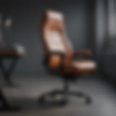 Ergonomic Chair with Lumbar Support