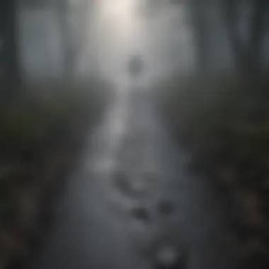 Eerie footprints in the fog