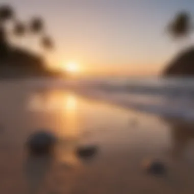New Horizons at Dawn Sunrise over a tranquil beach symbolizing new beginnings
