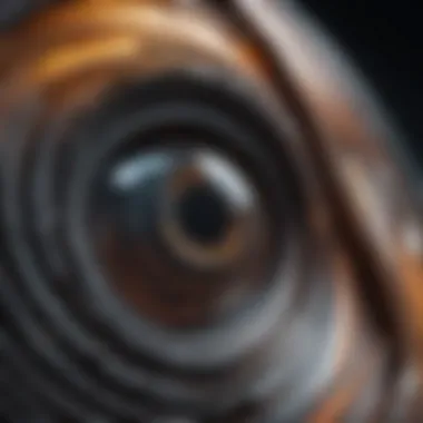 Abstract art representation of 'Extraordinary You'