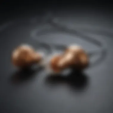 Innovative Design of Sound-Canceling Earbuds Innovative design of sound-canceling earbuds