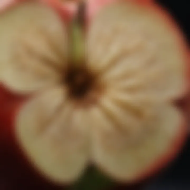 Abstract representation of apple seed nutritional composition