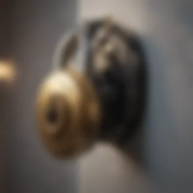 Creative depiction of a lock being unlocked representing free access