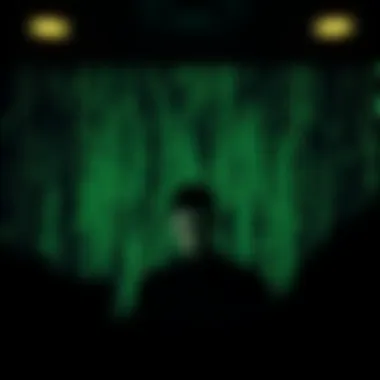 User interface of a popular streaming service