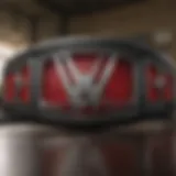 WWE Network logo showcasing streaming features