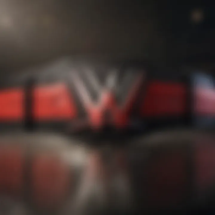 WWE Network Logo