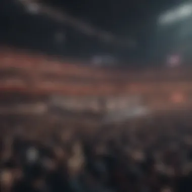 Crowd cheering at WWE event